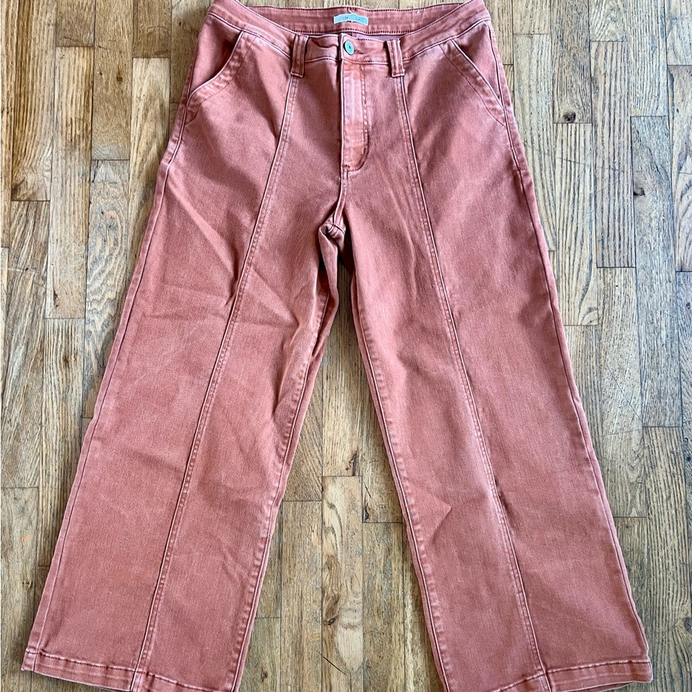 STS Blue Wide Leg Pants in Rust